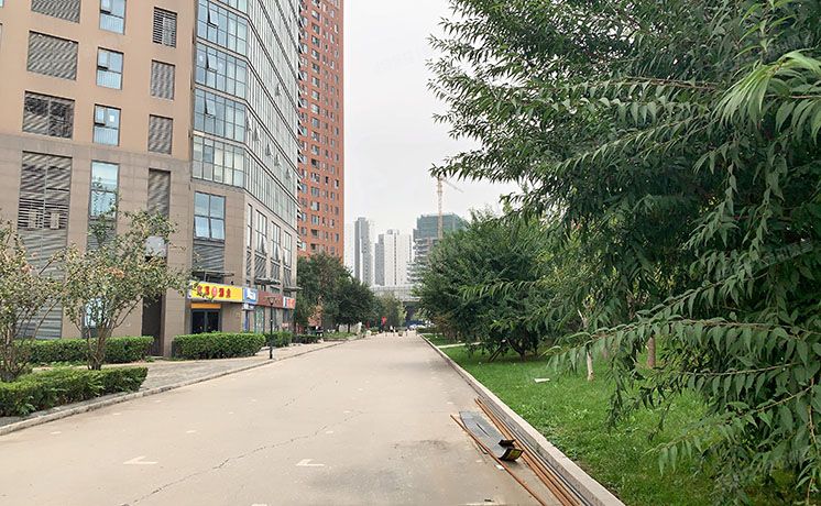 朝阳区 沿海赛洛城402号楼12层1202