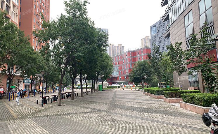 朝阳区 沿海赛洛城402号楼12层1202