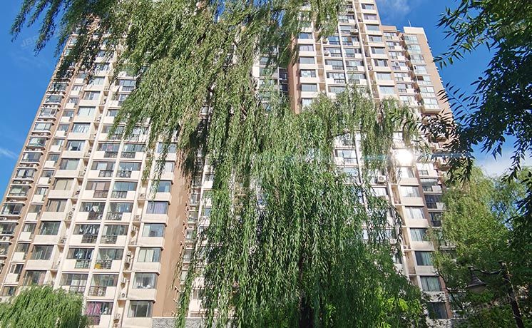 朝阳区 天之骄子4号楼11层1单元1101号