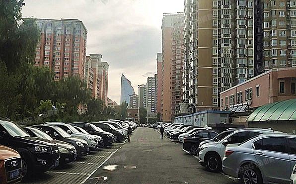 朝阳区 九龙花园5号楼5-2、5-4、5-6号 商业