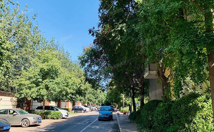 朝阳区 青青家园112号楼1层4门101