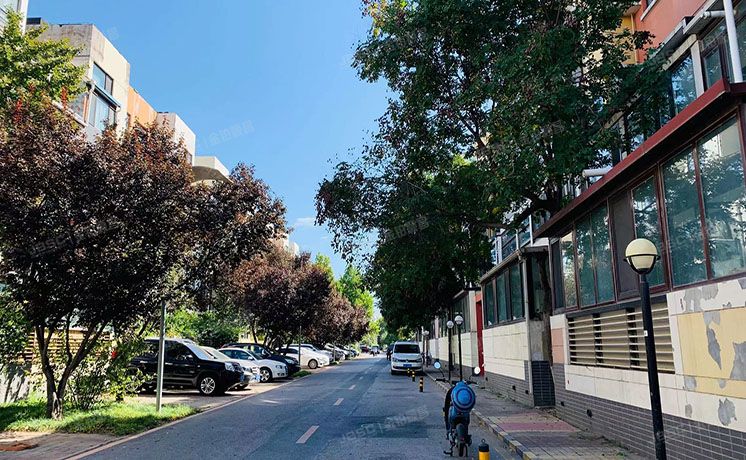 朝阳区 青青家园112号楼1层4门101