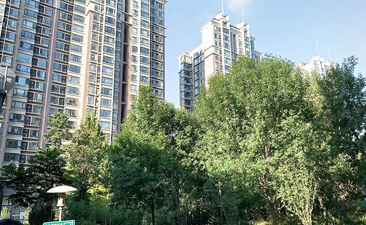 丰台区 紫芳园三区2号楼3层2单元303号