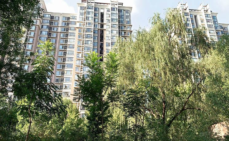 丰台区 紫芳园三区2号楼3层2单元303号