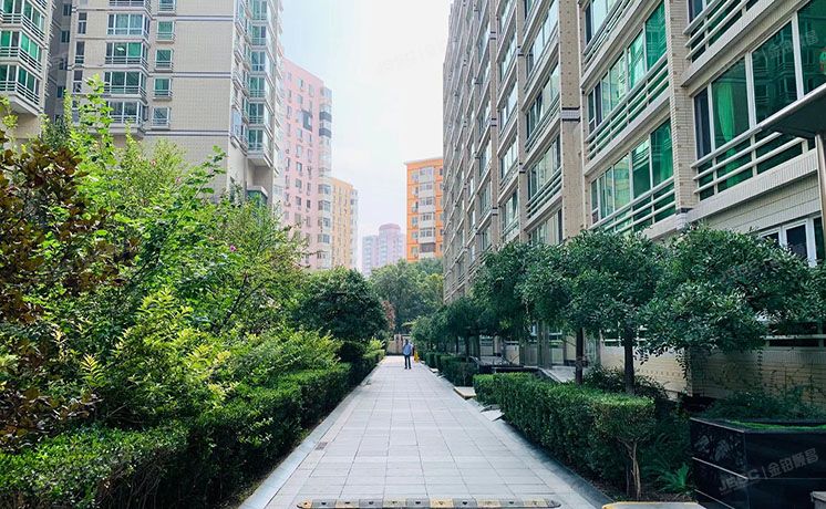 朝阳区 西坝河西里28号英特公寓2号楼C0812