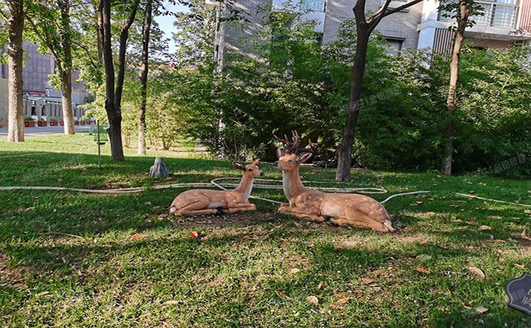 朝阳区 国奥村东区10号楼5层2单元501