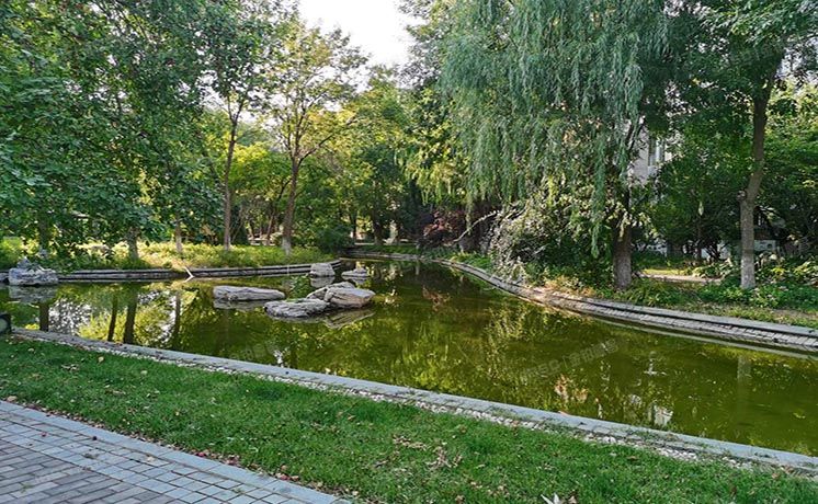 朝阳区 国奥村东区10号楼5层2单元501