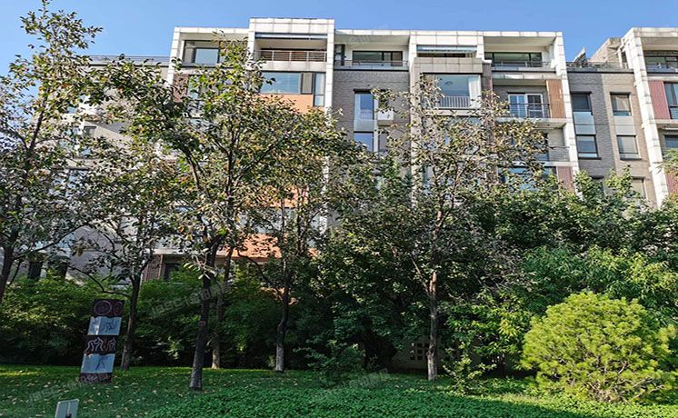 朝阳区 国奥村东区10号楼5层2单元501