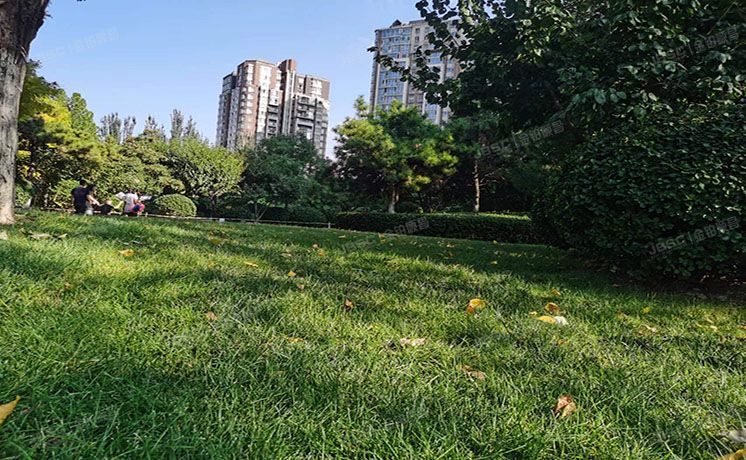 朝阳区 公园1872 211号楼16层4单元1901号