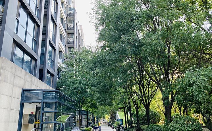 朝阳区 丽都东镇201号楼7层5单元701