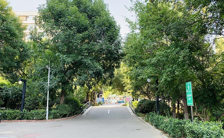 朝阳区 丽都东镇201号楼7层5单元701