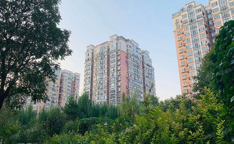 东城区 花市枣苑11号楼10至11层1012室