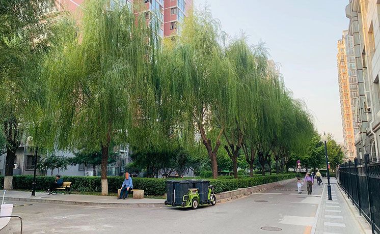 东城区 花市枣苑11号楼10至11层1012室