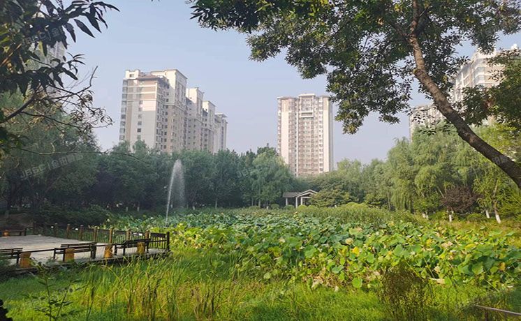 朝阳区 富力又一城9号楼12层1单元1503号