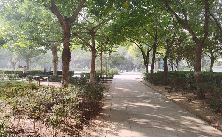 朝阳区 富力又一城21号楼1层3单元108