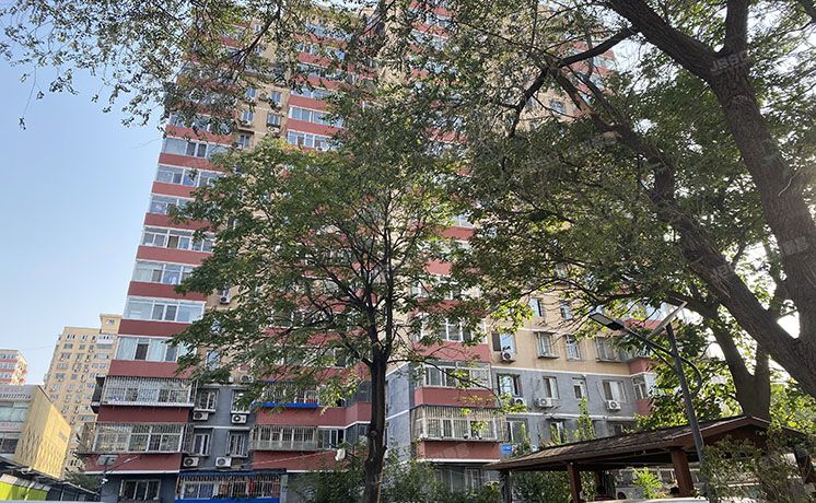 朝阳区 农光南里8号楼15层15层6号