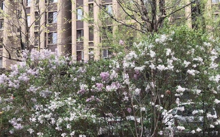 昌平区 龙山华府12号楼11层1单元1101