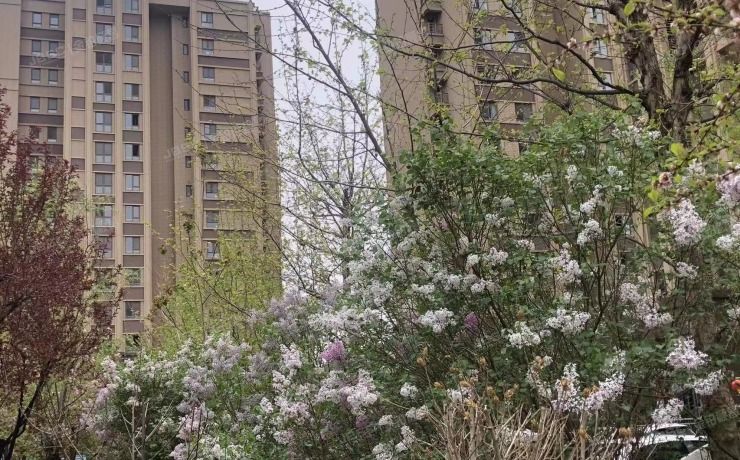 昌平区 龙山华府12号楼11层1单元1101