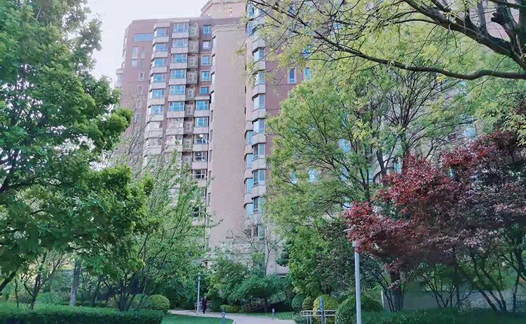 朝阳区 公园1872 210号楼1层1单元101号