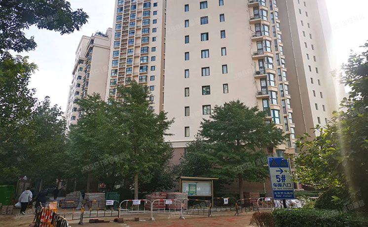 朝阳区 珠江罗马嘉园57号楼7层703