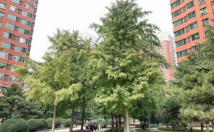 丰台区 怡海花园富润园2号楼8层810号