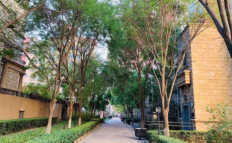 朝阳区 中海城圣朝菲4号楼3层3单元302