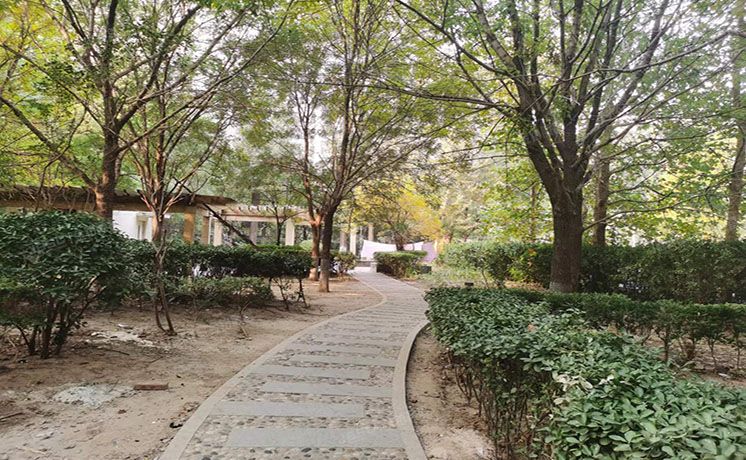 朝阳区 北京新天地1号楼18层2单元1806