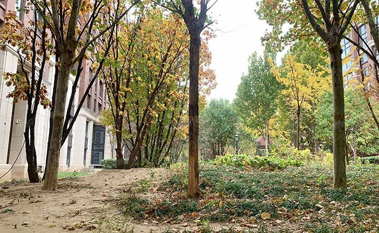 丰台区 首开璞瑅二期3号楼8层4单元802