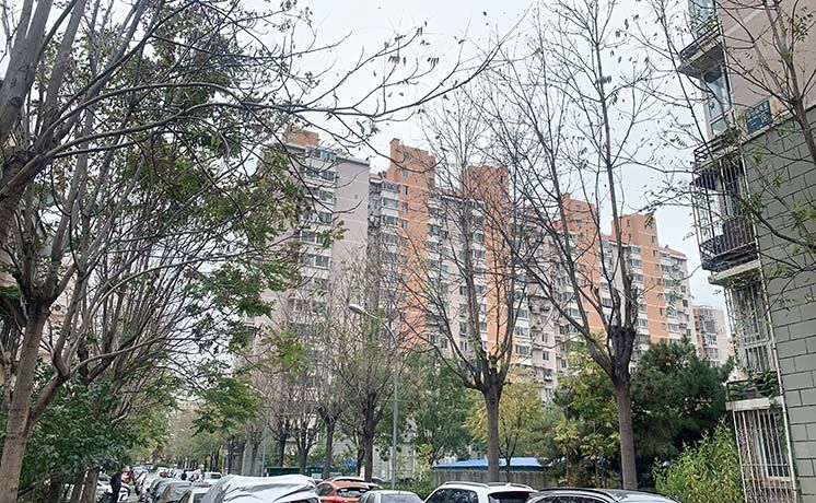 丰台区 西马金润13号楼5层6-505