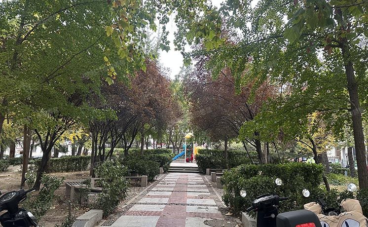 朝阳区 双花园南里一区7号楼5层508