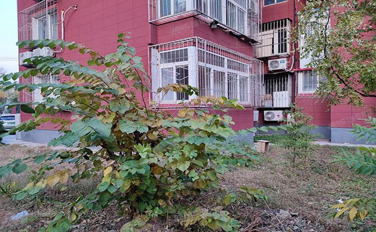 通州区 富河园16号楼1层1单元104