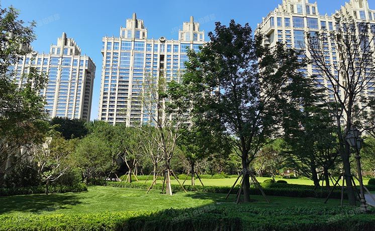 朝阳区 霄云路8号3号楼1单元1402室