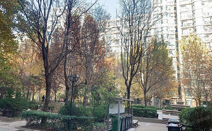 丰台区 珠江骏景北区31号楼8层801