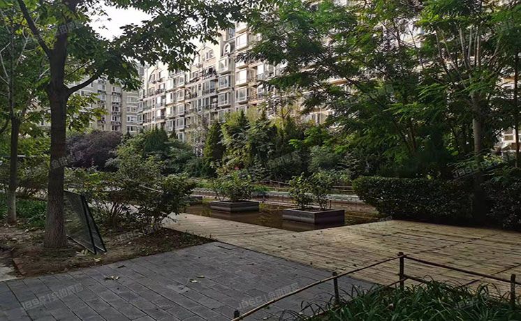 朝阳区 金港国际3号楼6单元101