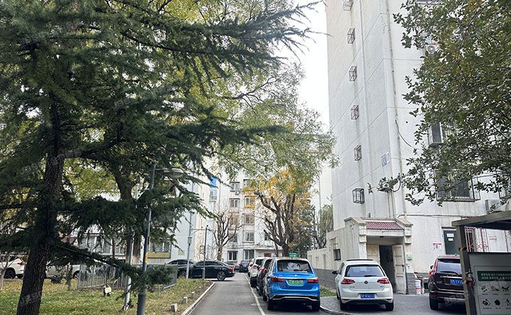 东城区 东花市北里西区18号楼3层1-301