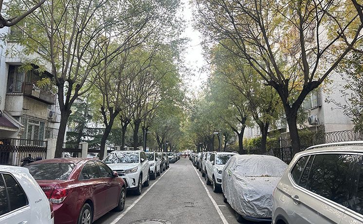 东城区 东花市北里西区18号楼3层1-301