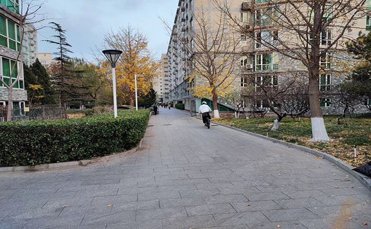 海淀区 春荫园10号楼12-5-12G