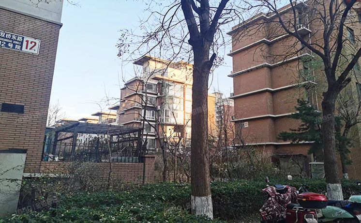 朝阳区 东1时区11号楼1层3单元102