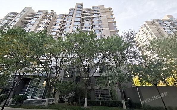 朝阳区 富力城D区53号楼7层805室