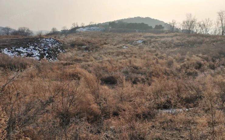 密云区 穆家峪镇九松山  土地