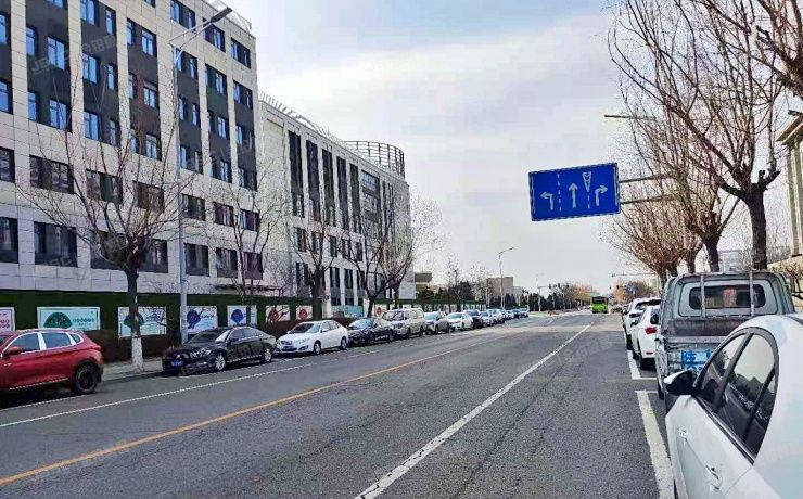 大兴生物医药产业基地的土地使用权及其在建工程