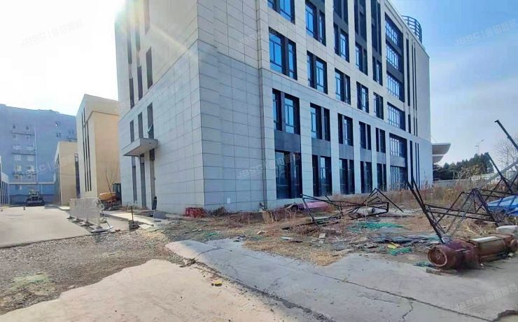 大兴生物医药产业基地的土地使用权及其在建工程