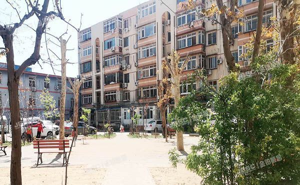 大兴区 新安里37号楼1-201