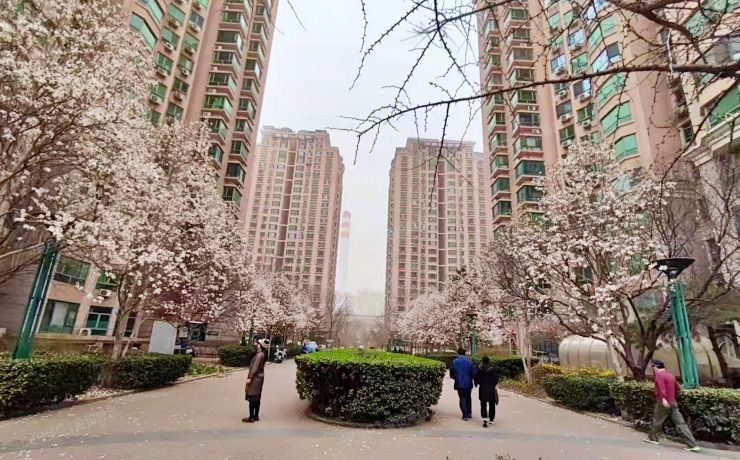 海淀区 太阳园15号楼14层1401