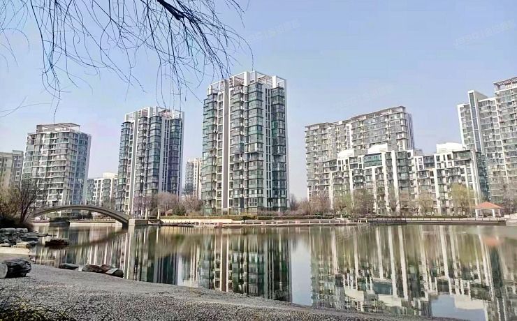 大兴区 顺驰领海52号楼5层1单元502号