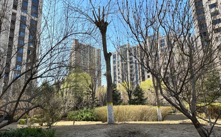 朝阳区 保利中央公园七区3号楼2单元22层2201号