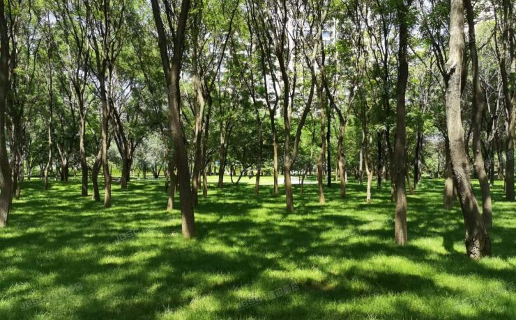 朝阳区 霄云路8号院6号楼14层2单元1402