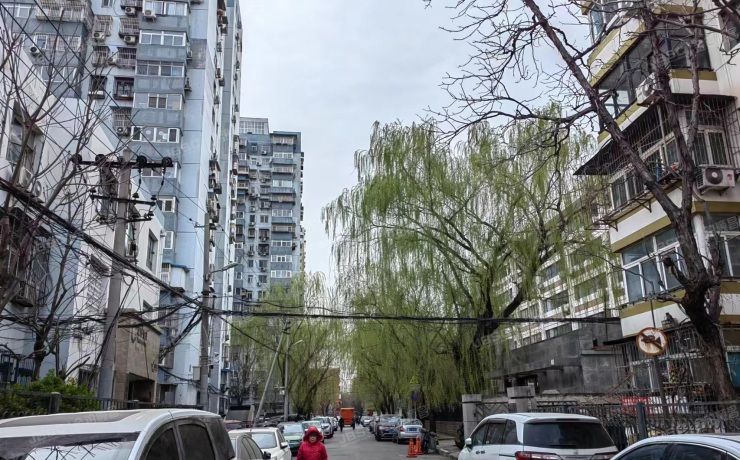 朝阳区 道家园4号楼3层1单元302