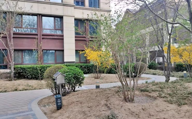 顺义区 安祥大街11号院4号楼3层302（中粮祥云国际生活区）