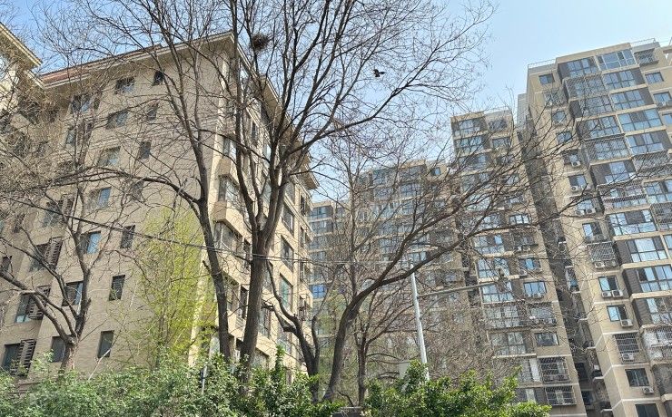 东城区 培新街9号院1楼10层2单元1102（保利蔷薇苑）